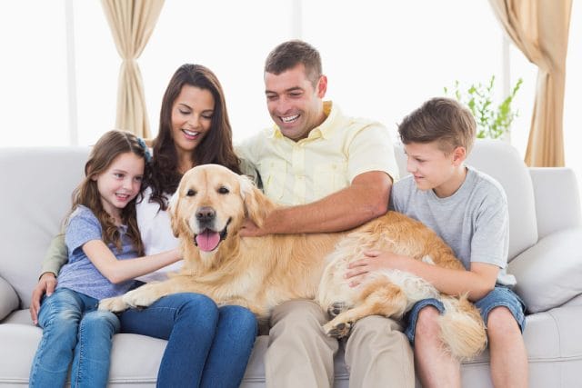 Happy family of four stroking Golden Retriever in living room