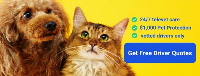 Pet Shipping with CitizenShipper