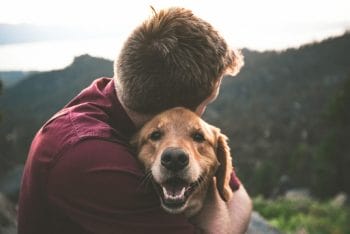 A man embracing his dog while enjoying the breathtaking view atop a mountain.