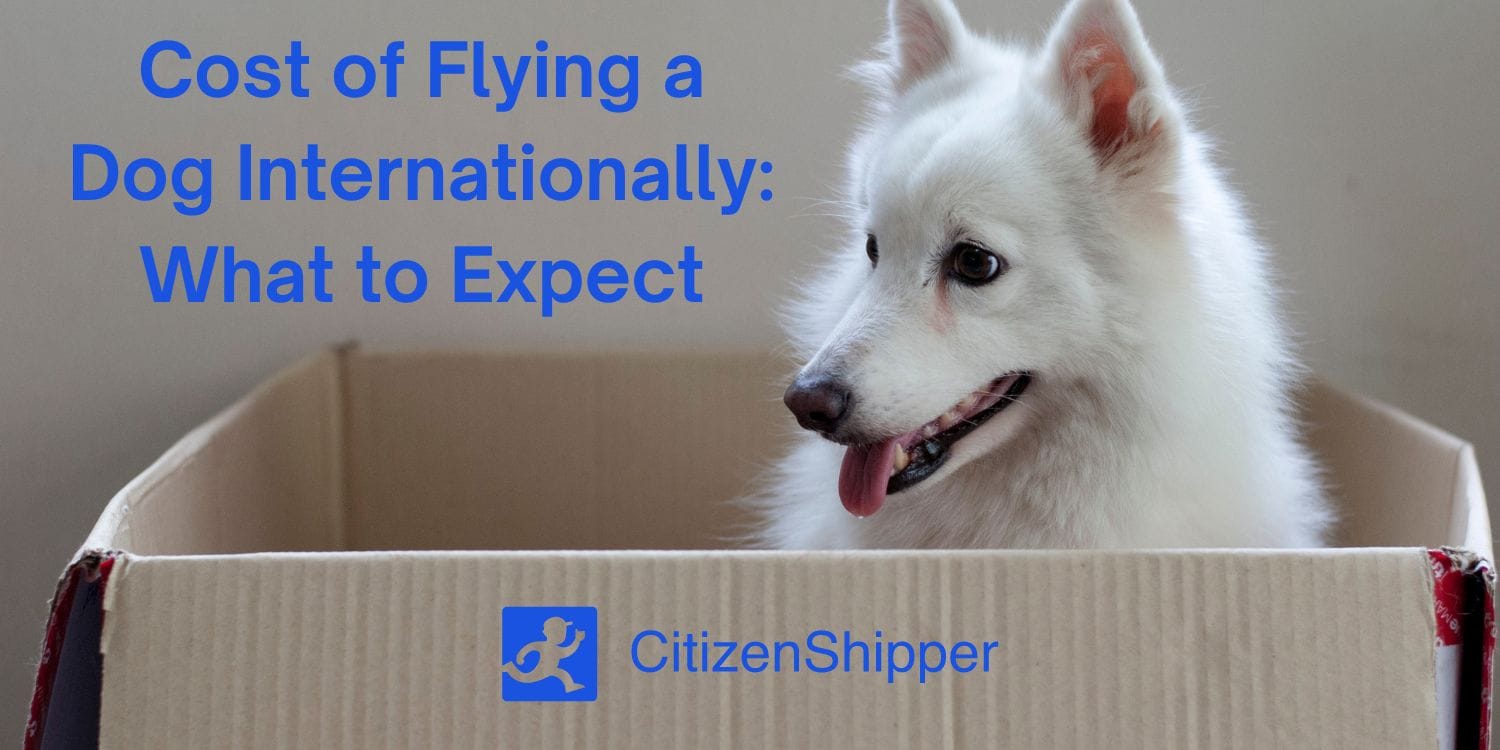How Much Does It Cost to Flight a Dog