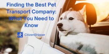 Finding the finest pet transportation expert: everything you must know.