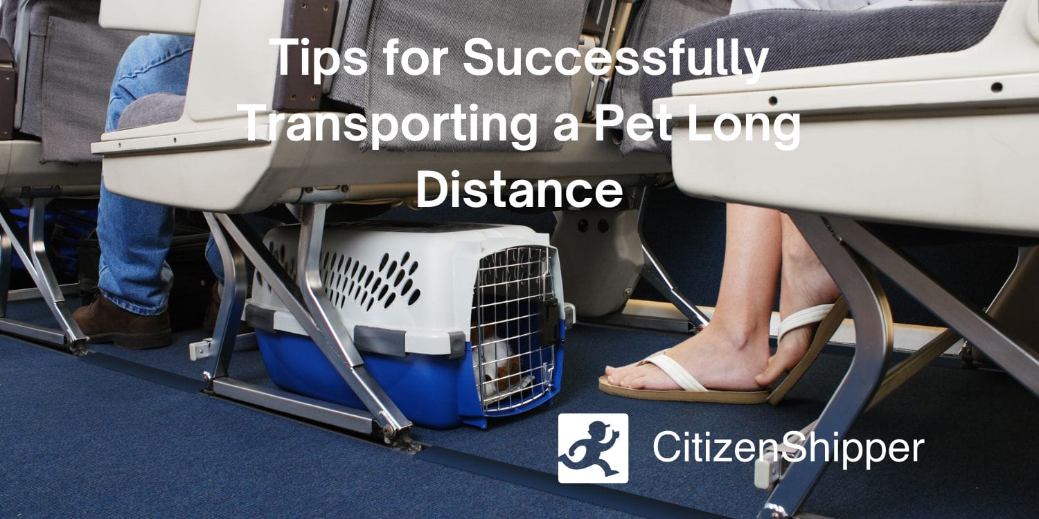 The Best Airline-Approved Pet Carriers - CitizenShipper Blog