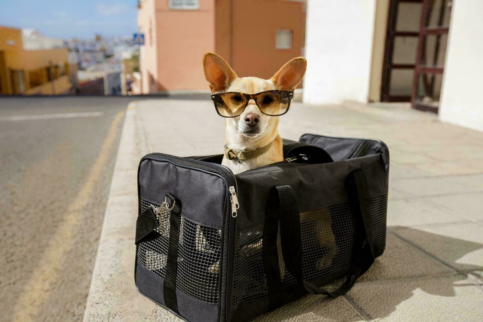 Airline Compliant Pet Carrier, Car Seat & Travel Bag