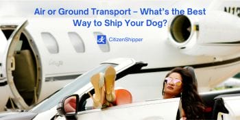woman, car, air transportation, ground transportation, ship, dog