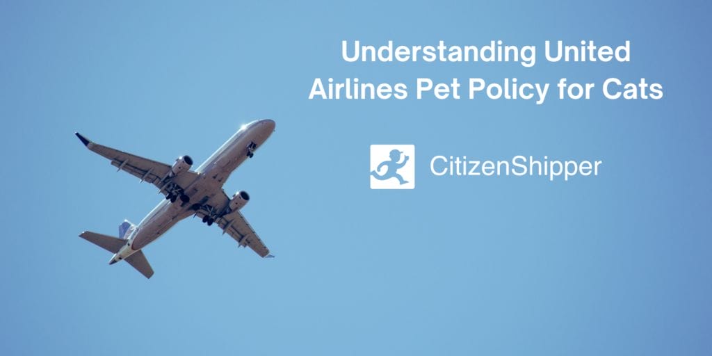 United Airlines Pet Policy for Cats CitizenShipper Blog