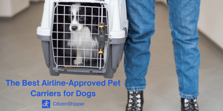 The Best Airline-Approved Pet Carriers - CitizenShipper Blog