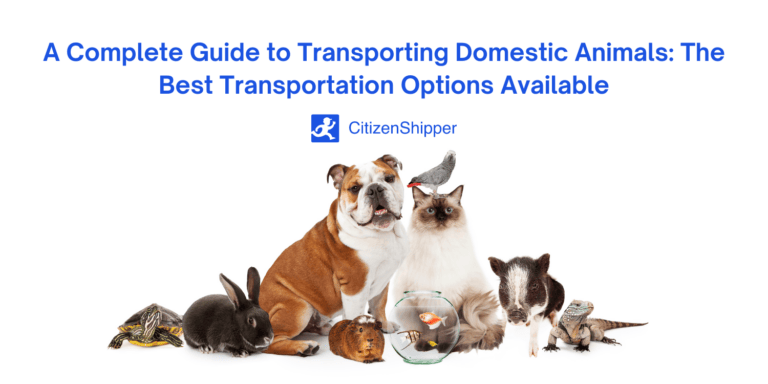 A comprehensive guide to the best transport options for domestic animals.