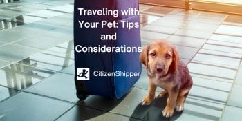 Pet travel, considerations.