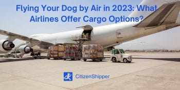 2023, airlines, cargo options.