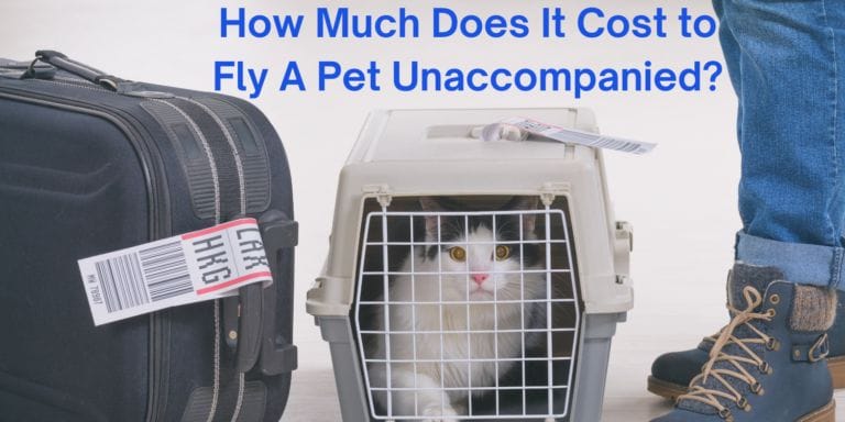 Cost, fly, pet