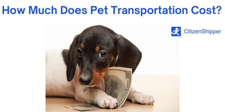 pet transportation, cost