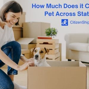 Shipping, Pet, State Lines