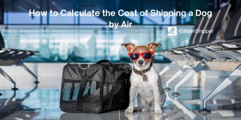 Calculate, cost, shipping, dog, air.