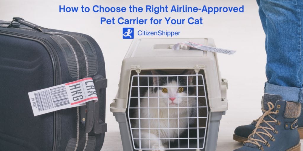 6 Best Cat Carriers in 2023 How Do I Choose the Right Carrier?