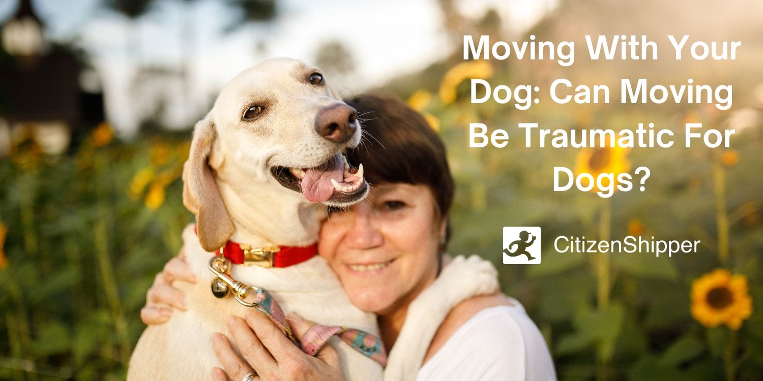 How Long Does It Take a Dog to Adjust to a New Home After Moving?