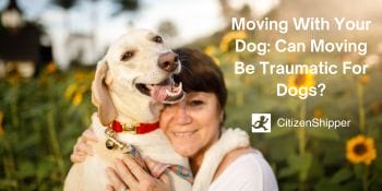 Moving with your dog can be traumatic.