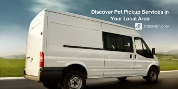 Find local pet pickup services.