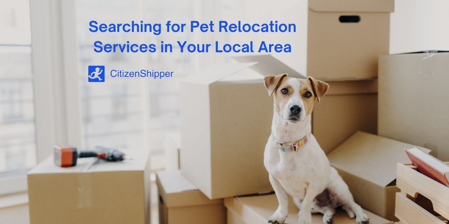 Pet Relocation Services in Your Local Area CitizenShipper Blog