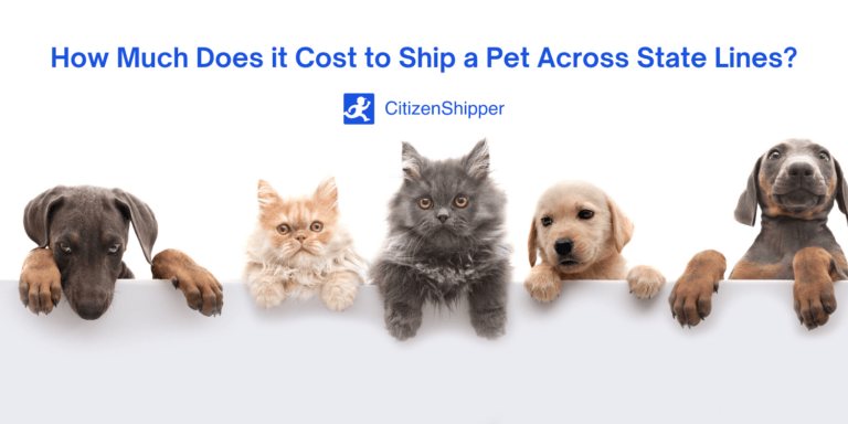 Shipping pets across state lines.