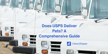 Does USPS deliver a comprehensive guide on pet delivery?