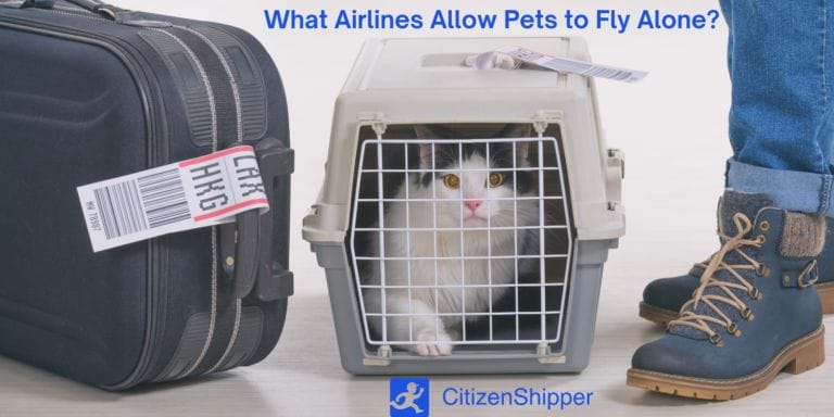 List of airlines that allow pets to fly alone.
