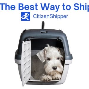 Best method for pet shipping.