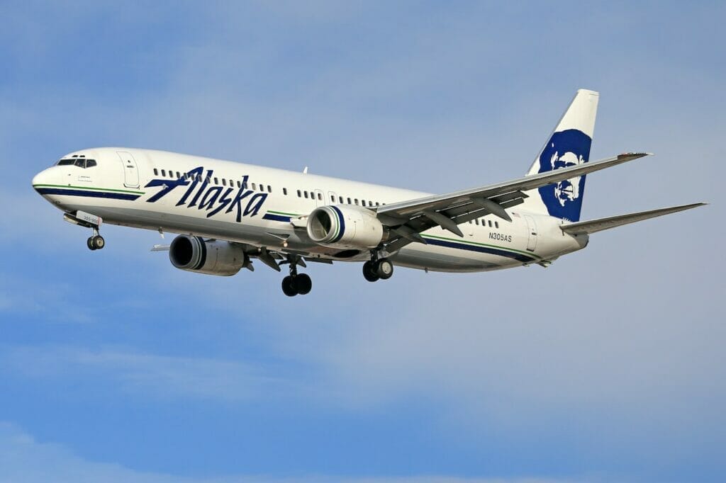 Alaska Airlines Pet Policy Traveling with Dogs & Cats Safely