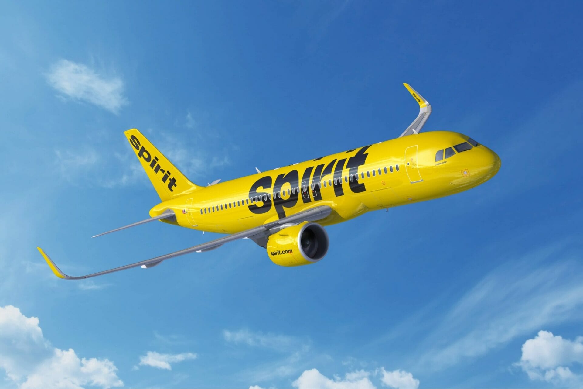 Spirit Airlines Pet Policy 2023: Rules for Dogs Cats and More Spirit Airlines Pet Policy 2023: Rules for Dogs Cats and More