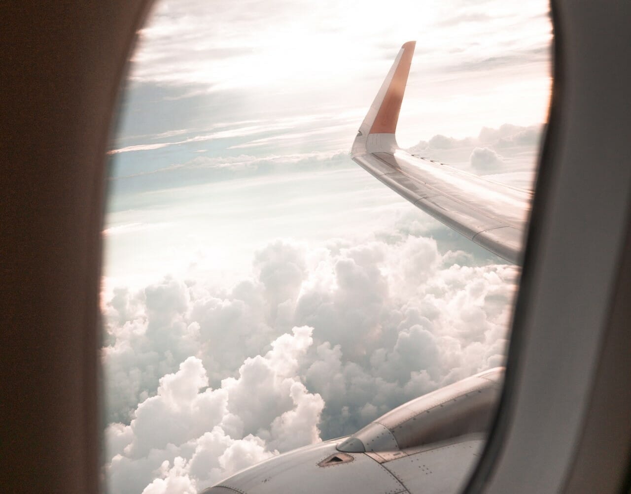 Frontier Airlines Pet Policy A Comprehensive Guide