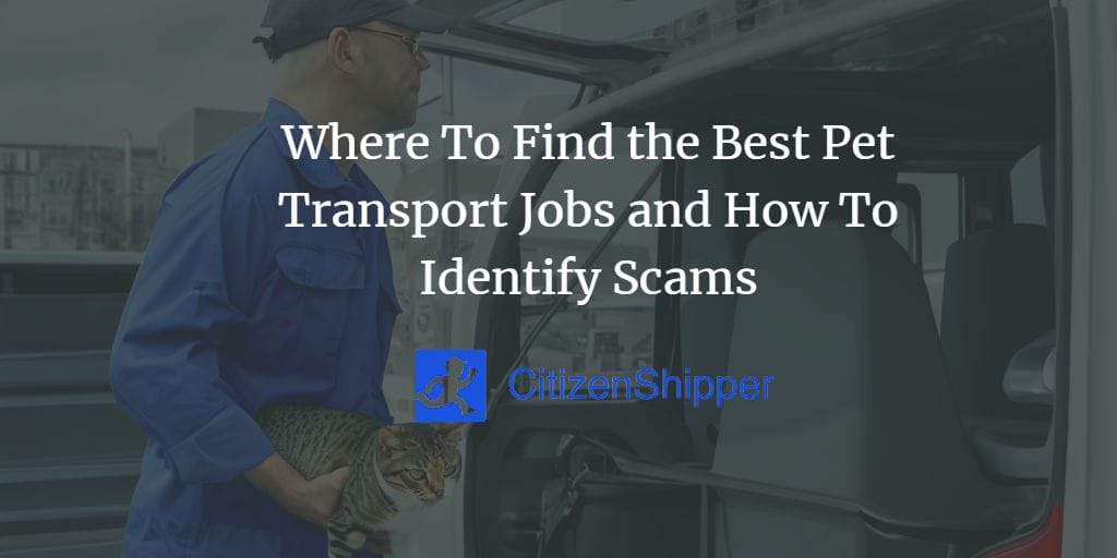 where-to-find-the-best-pet-transport-jobs-and-how-to-identify-scams