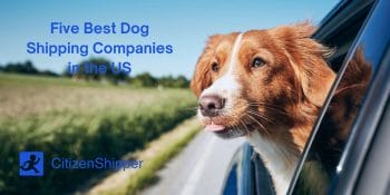 Top dog shipping companies, US.