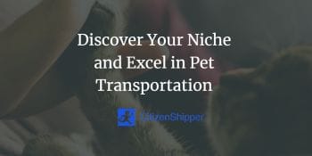Discover and excel in pet transportation.