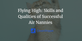 Skills and qualities of successful air nanny.