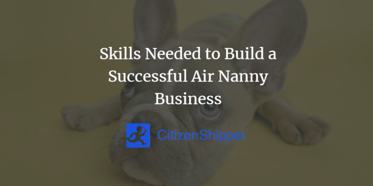 Skills Needed to Build a Successful Air Nanny Business