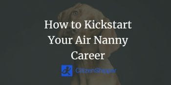 Kickstart, Air Nanny Career